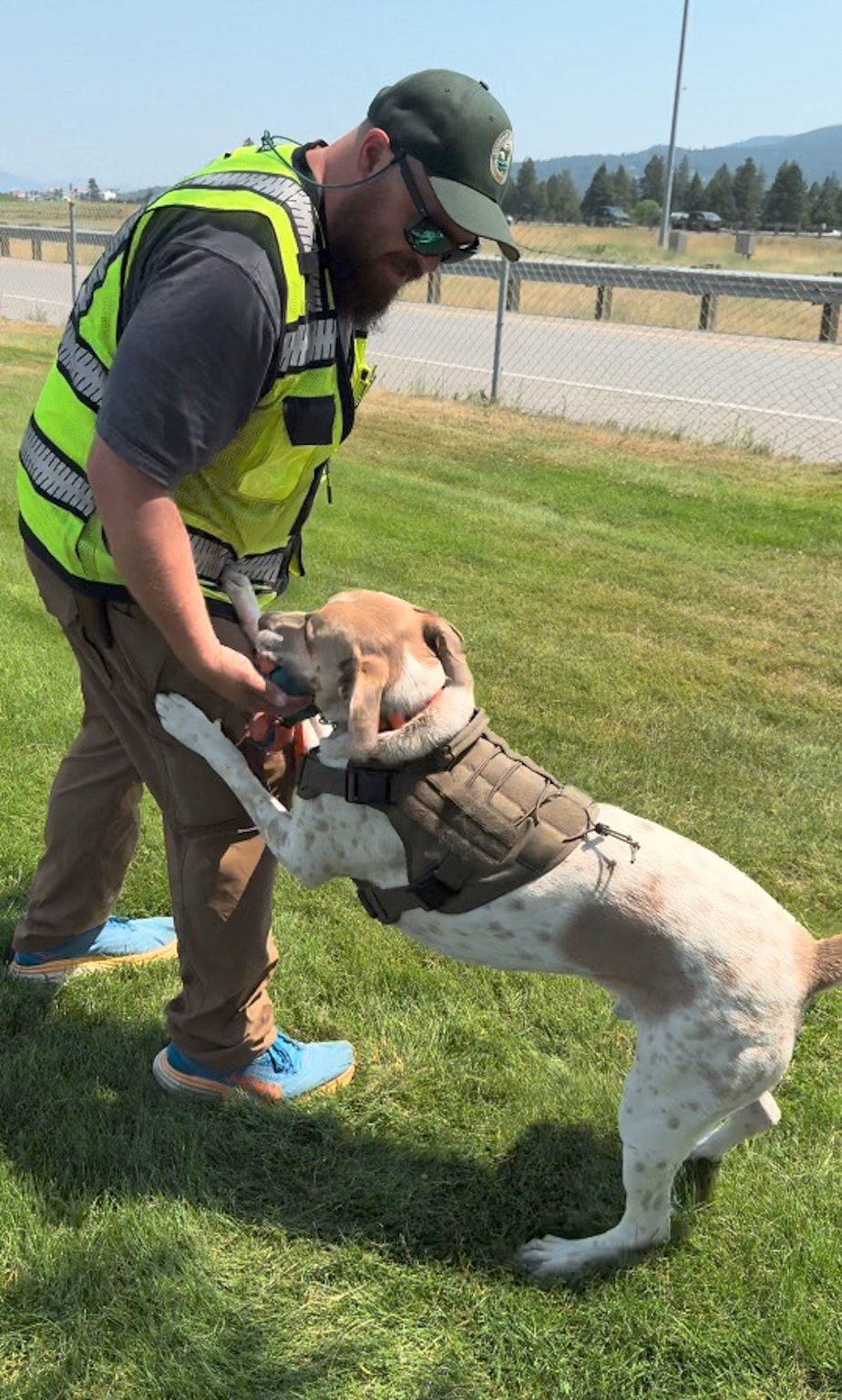 caption: Nick Knauss plays with Fin as a reward for inspecting a boat for invasive mussels.